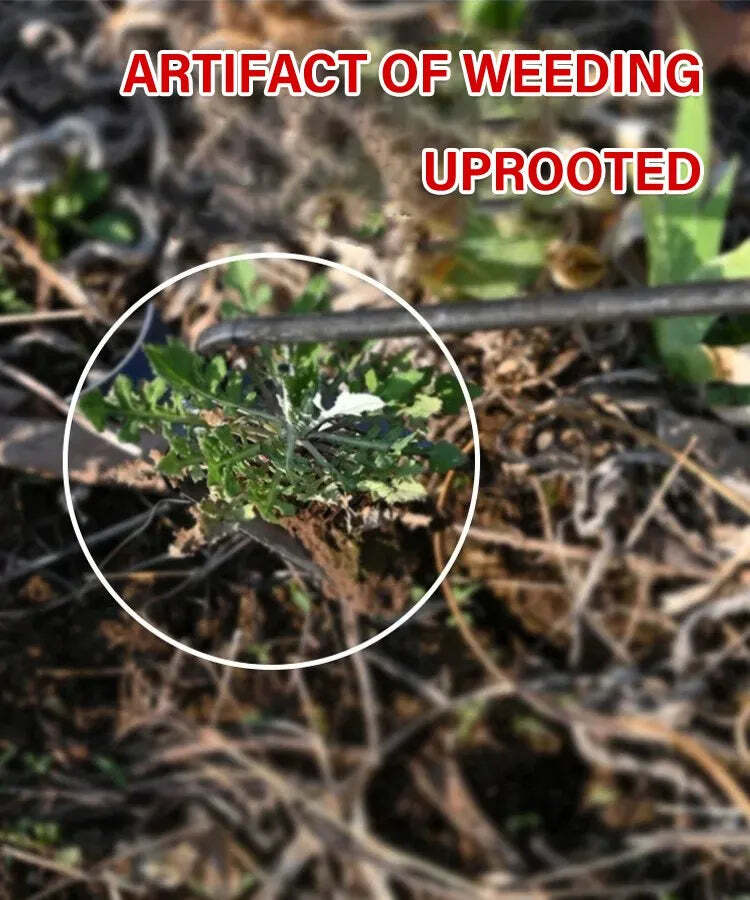 Your Ultimate Weeding Tool